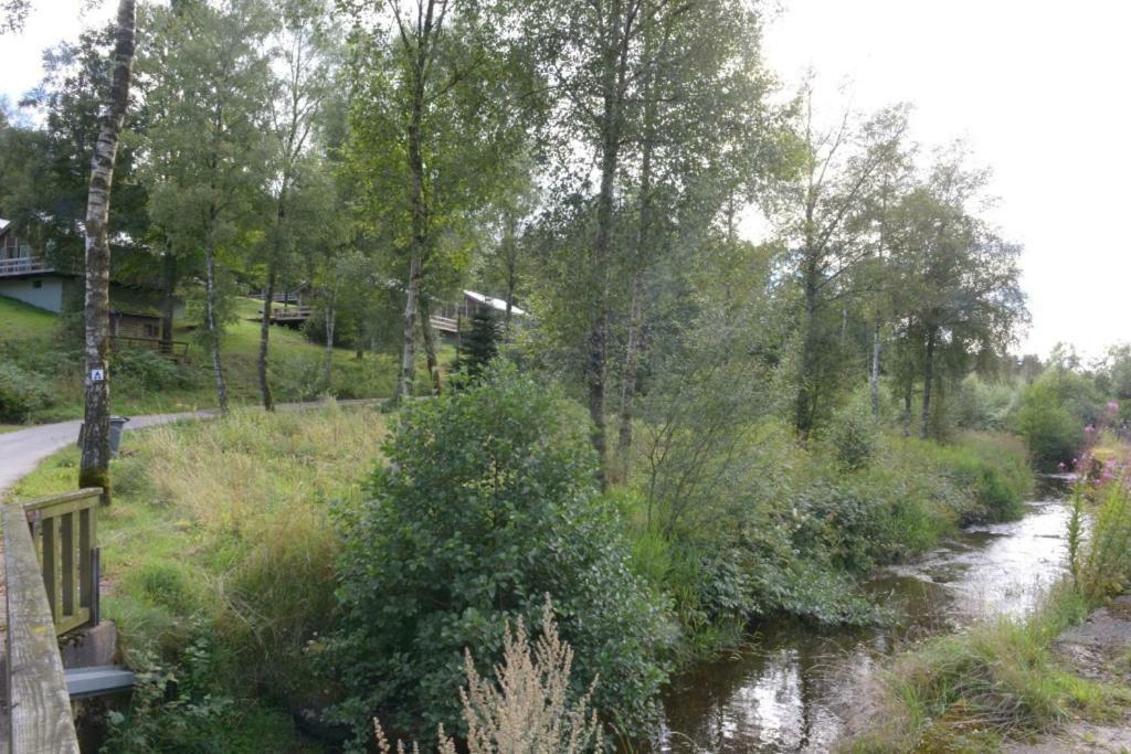 Chalet "A L Oree Du Bois" Büllingen Eksteriør bilde